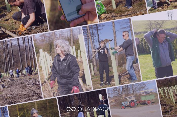 Taking care and giving back: helping a Quadpackers family forest